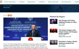 Amerikalı ekspert Türkiyənin enerji təhlükəsizliyi üçün Azərbaycan qazının əhəmiyyətindən yazıb