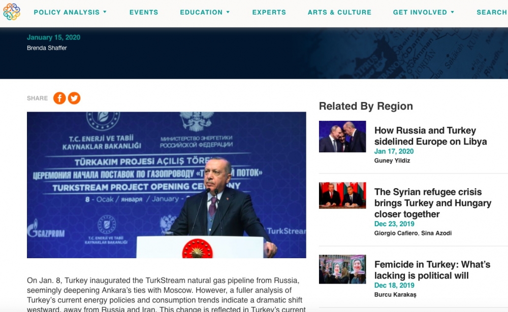 Amerikalı ekspert Türkiyənin enerji təhlükəsizliyi üçün Azərbaycan qazının əhəmiyyətindən yazıb