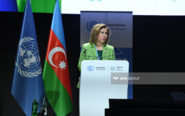 Gender bərabərliyi üzrə Milli Fəaliyyət Planının layihəsi hazırlanıb