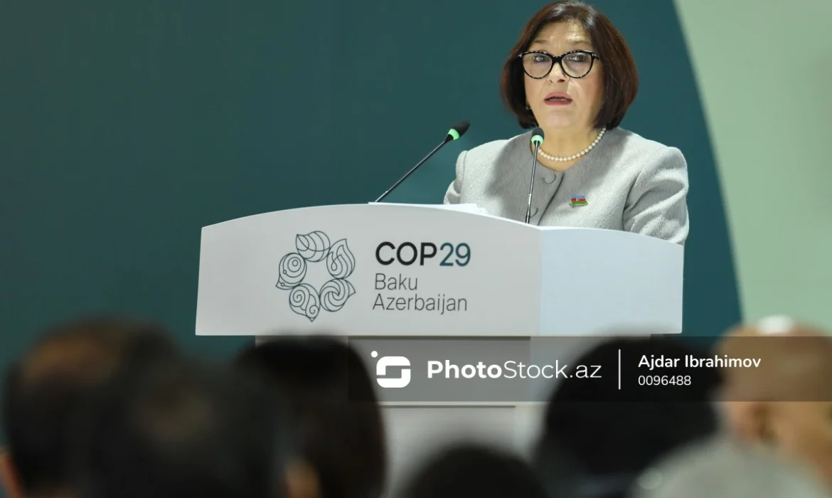 “Azərbaycan su qıtlığı, Xəzər dənizinin səviyyəsinin azalması və daşqınlarla üzləşib”