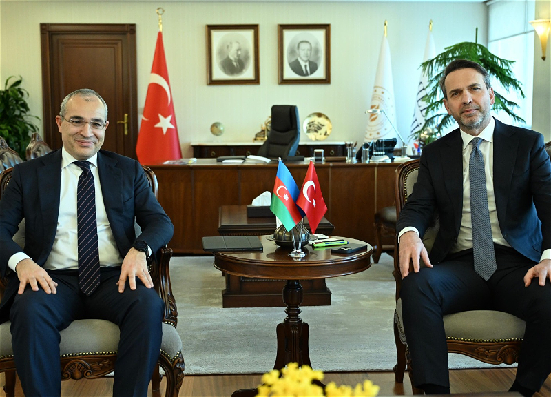 Azərbaycan və Türkiyə bərpa olunan enerji sahəsində əməkdaşlığı müzakirə ediblər – FOTO