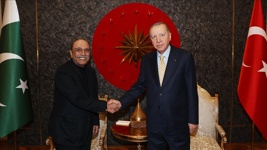 Ərdoğan Pakistan prezidenti Asif Əli Zərdari ilə görüşüb