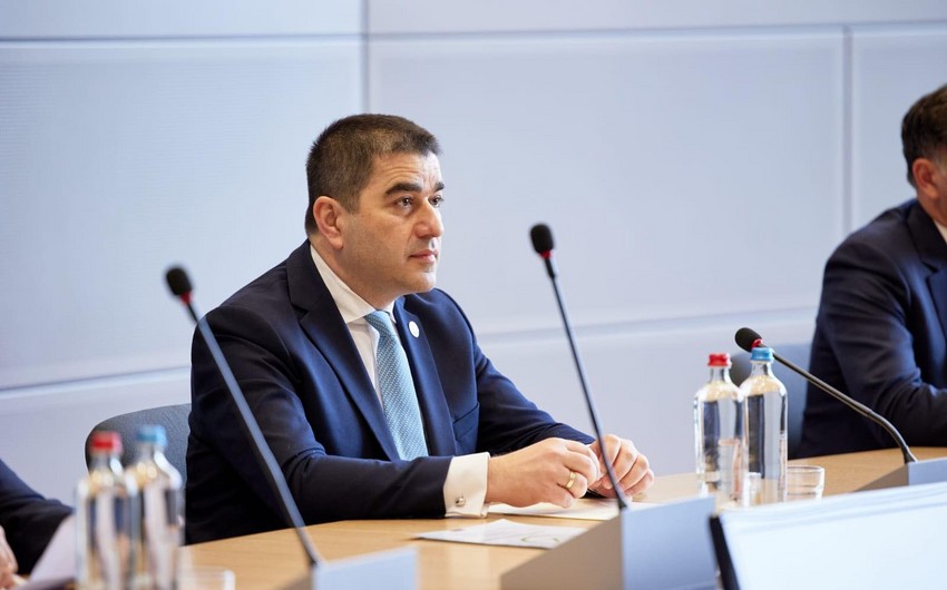 Şalva Papuaşvili: Avropa İttifaqı Gürcüstanla münasibətləri düzgün yola qaytarmalıdır