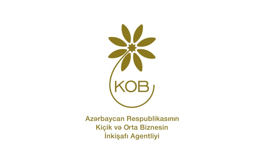 Azərbaycan və Səudiyyə Ərəbistanı arasında biznes əlaqələri genişləndiriləcək