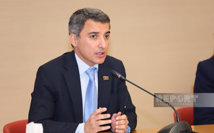 Fariz İsmayılzadə: Hindistanın Ermənistanı silahlandırması Azərbaycan üçün milli təhlükəsizlik problemi yaradır