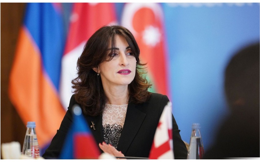 Gürcüstanın XİN başçısı: ABŞ hələ ölkəmizlə bağlı mövqeyini formalaşdırmayıb